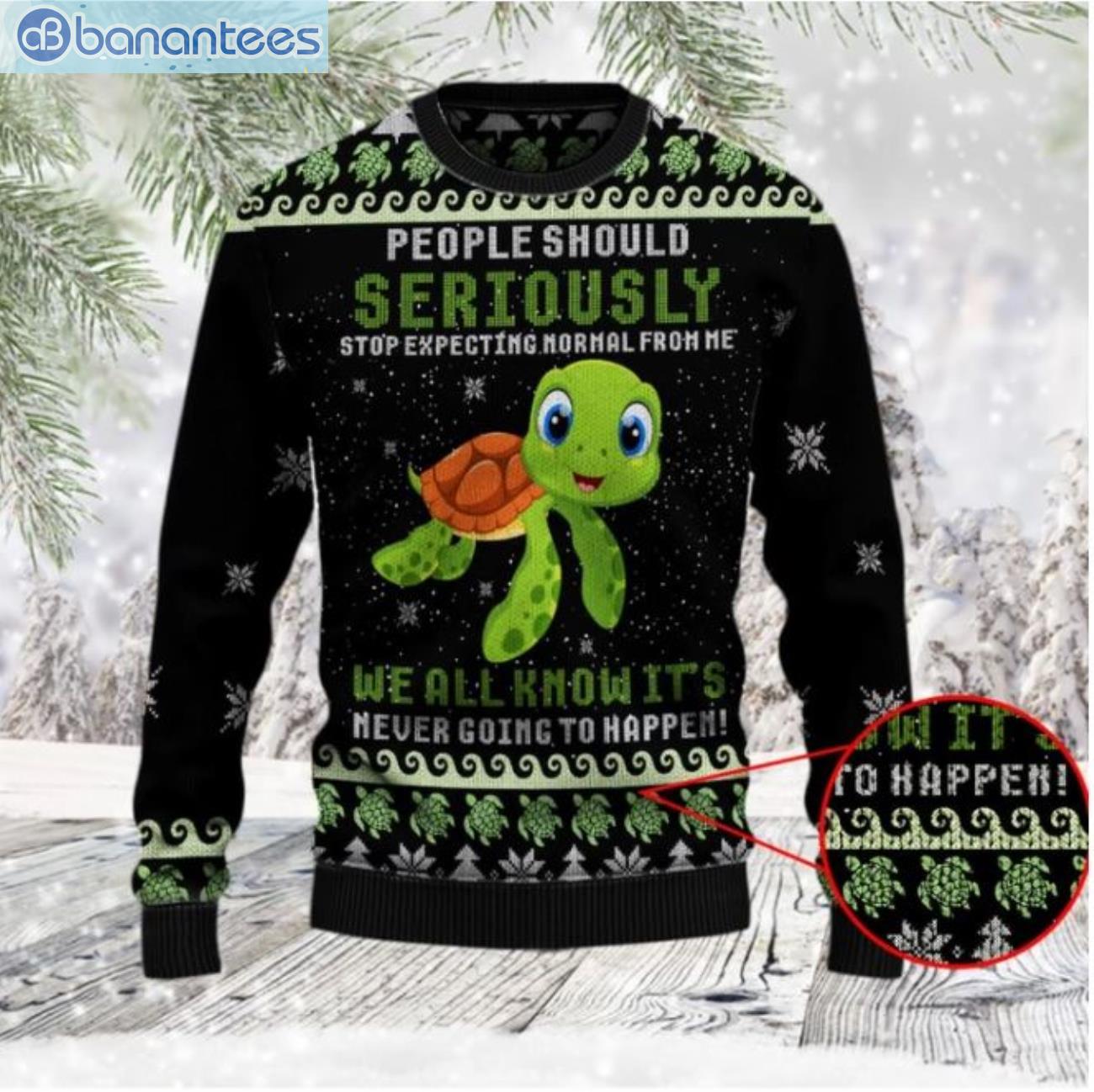 Baby Turtle Seriously 3D Sweater Product Photo 1
