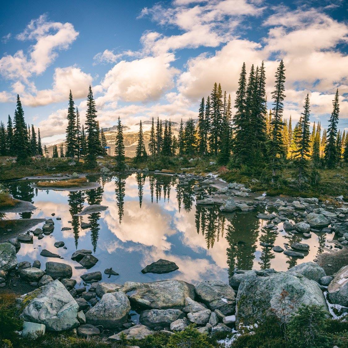 Reflective photo of the lake