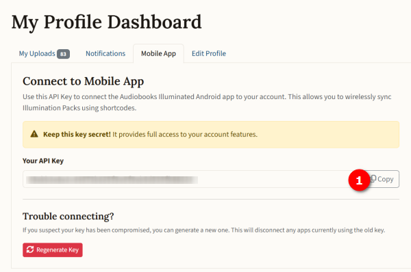 API Key Screenshot