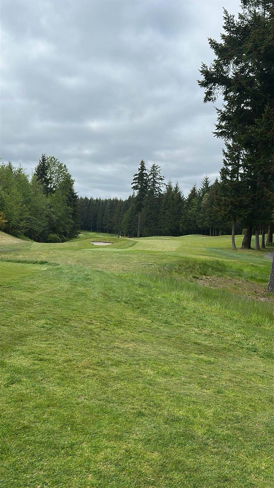 Golfer photo from a round at White Horse Golf Club in Kingston, Washington