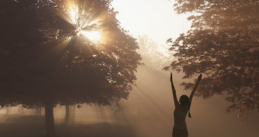 How Mindfulness Is Revolutionizing Mental Health Care