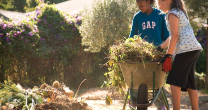 Growing Up: A Student-Run Cafeteria