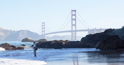 The Bay Area is Getting Older—Fast