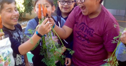 Catalyzing a New Food Culture in Mt. Diablo Schools