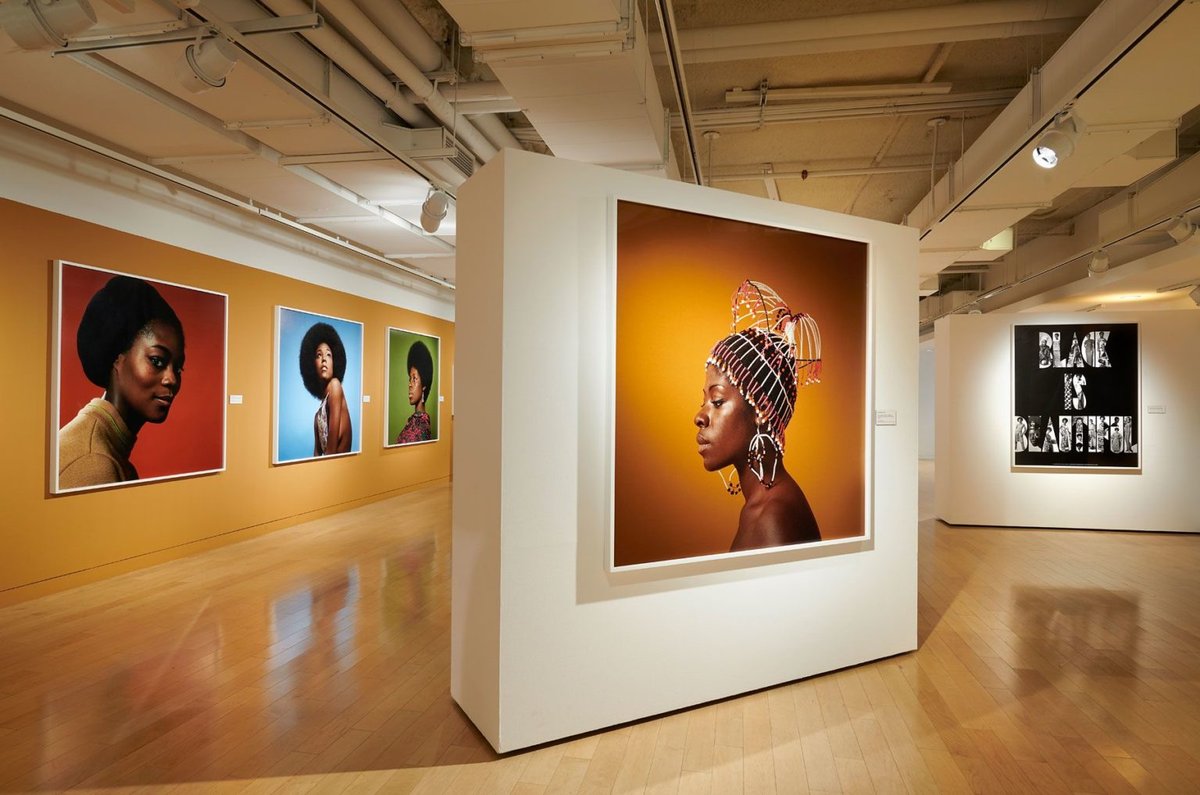 Museum of the African Diaspora: Future Forward