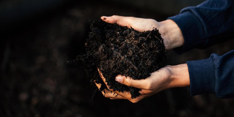 The REEL: Investing in our future food systems