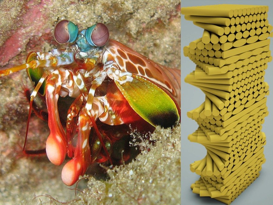 Lightweight Bio-Inspired Composite Materials for Fuel-Efficient Vehicles
