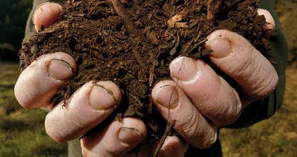 Can Dirt Save the Earth?