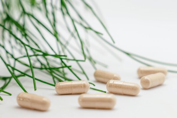 Rooted in Care: From Prescriptions to Natural Medicines – My Rotation Experience