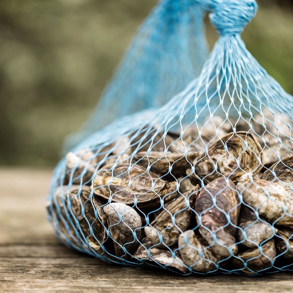 Tide to Table Oyster Subscription