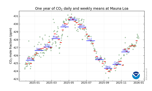 Graph showing past 13 months of daily, weekly, and monthly values for CO2 at Mauna Loa: the rise towards the May peak above 430 ppm followed by the seasonal fall. December 2025 well above the December 2024 level.