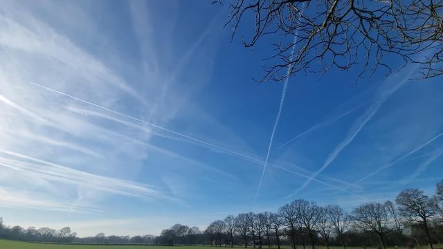 Blue sky over landscape with trees, but a lot of white contrails in it