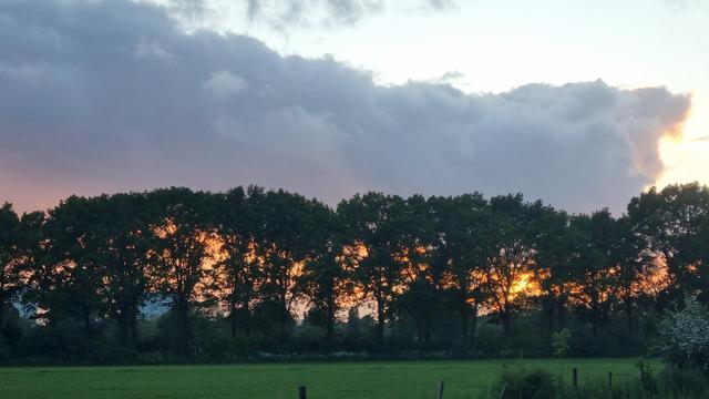 Sunset below dark cloud behind row of talk trees