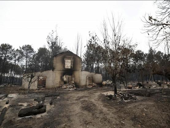 Ruins of a house in le Porge, garden burned down too