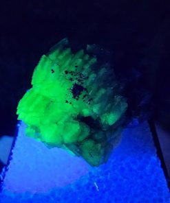 Adamite Thumbnail | Ojuela Mine, Mapimi, Durango, Mexico | Zn2(AsO4)(OH)  | UV Reactive Adamite Specimen