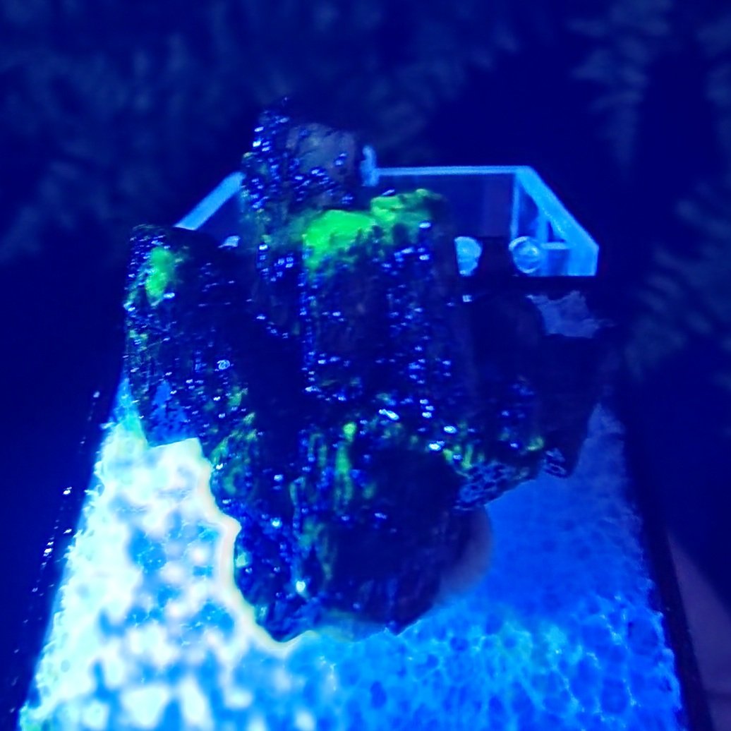 Adamite Thumbnail | Ojuela Mine, Mapimi, Durango, Mexico | Zn2(AsO4)(OH) | UV Reactive Adamite Specimen - Image 3