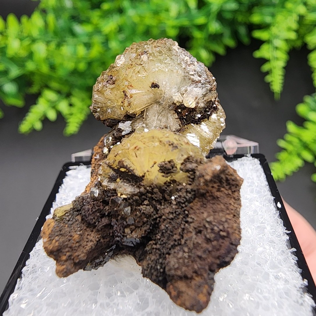 Adamite Thumbnail | Ojuela Mine, Mapimi, Durango, Mexico | Zn2(AsO4)(OH) | UV Reactive Adamite Specimen - Image 6