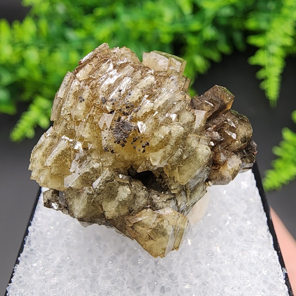 Adamite Thumbnail | Ojuela Mine, Mapimi, Durango, Mexico | Zn2(AsO4)(OH) | UV Reactive Adamite Specimen - Image 2