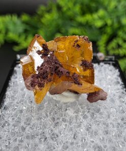 Wulfenite Thumbnail | Ahumada Mine, Los Lamentos, Chihuahua, Mexico | Pb(MoO4) | Wulfenite Specimen