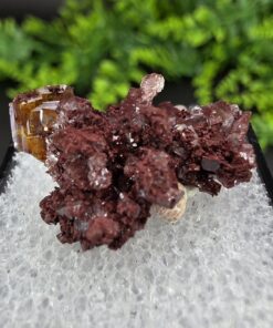 Alternative view of Wulfenite Thumbnail | Ahumada Mine, Los Lamentos, Chihuahua, Mexico | Pb(MoO4) | Wulfenite Specimen