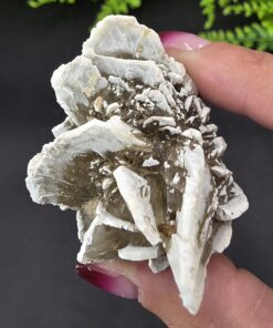 Selenite Rose | Germany | Na2SeO3 | Selenite Specimen