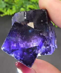 Alternative view of Purple Fluorite | Esperanza Mine, Muzquiz, Coahuila, Mexico | CaF2 | Purple Fluorite Specimen