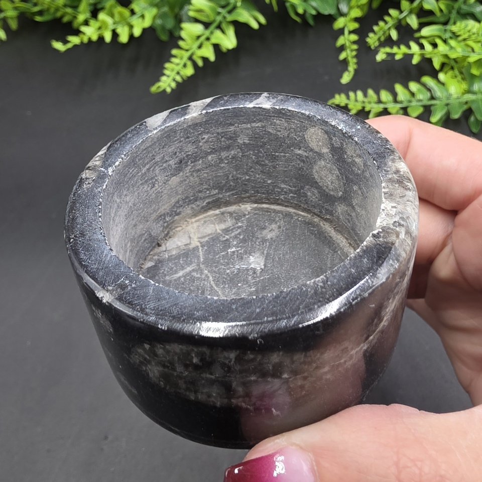 Ammonite Fossil Box | Morocco | Fossil | Polished Ammonite Fossil - Image 5