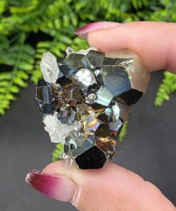 Iridescent Pyrite with Quartz | Indonesia | CaF2 | Iridescent Pyrite Specimen