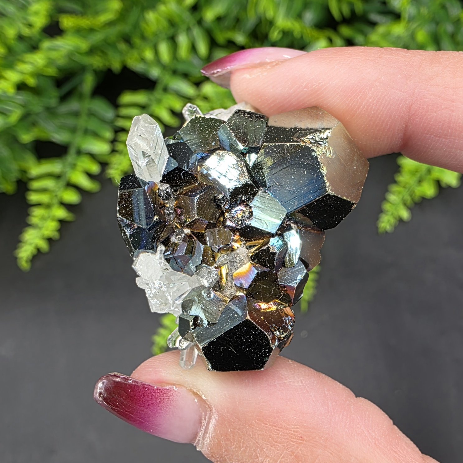 Iridescent Pyrite with Quartz | Indonesia | CaF2 | Iridescent Pyrite Specimen