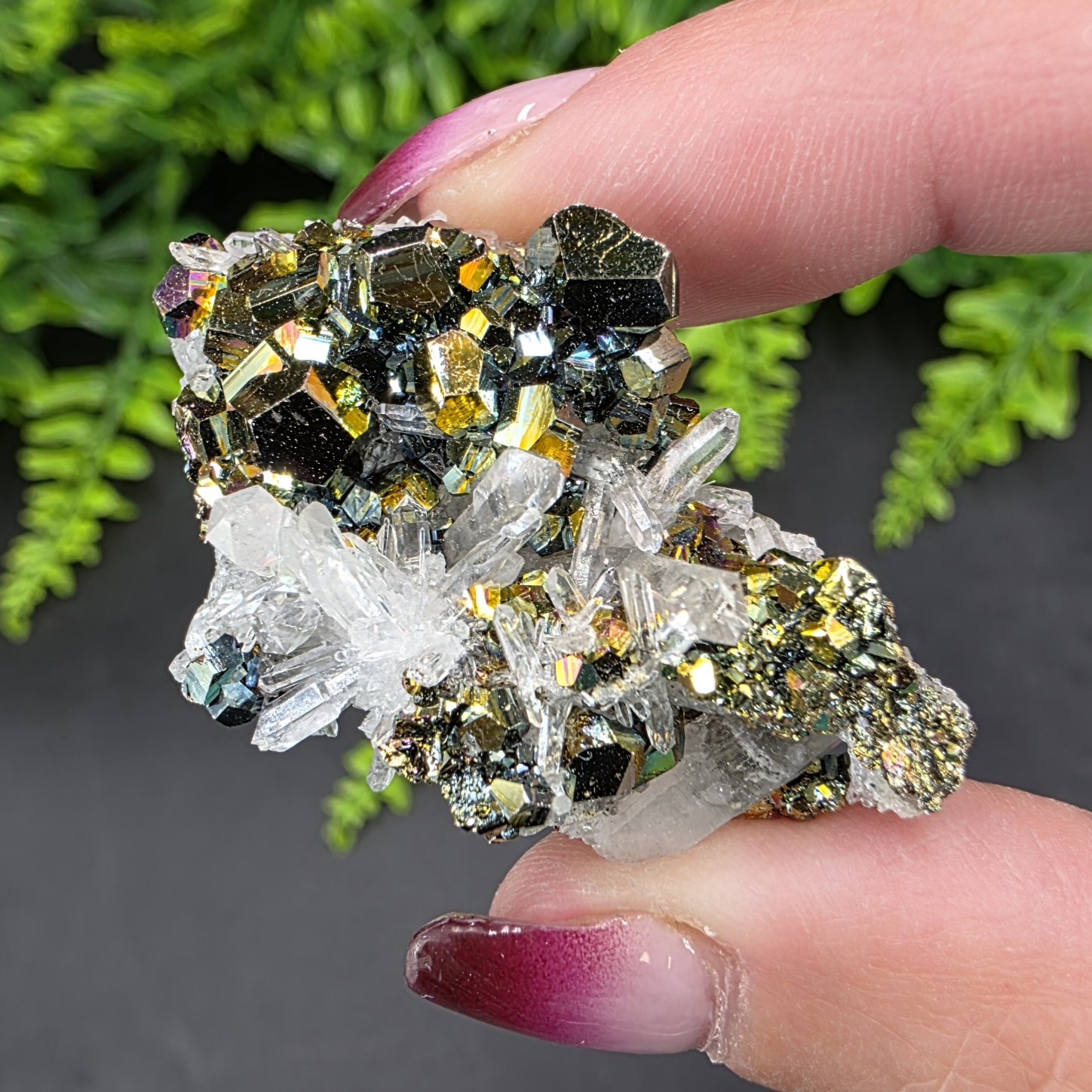 Iridescent Pyrite with Quartz | Indonesia | CaF2 | Iridescent Pyrite Specimen - Image 3