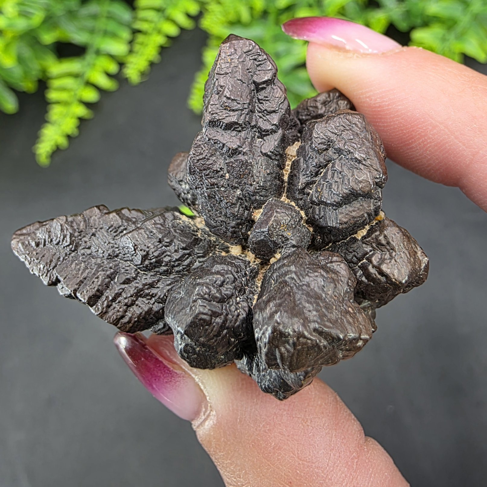 Prophecy Stone | Egypt | FeO(OH)·nH2O | Prophecy Stone Specimen - Image 3
