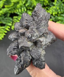 Prophecy Stone | Egypt | FeO(OH)·nH2O | Prophecy Stone Specimen