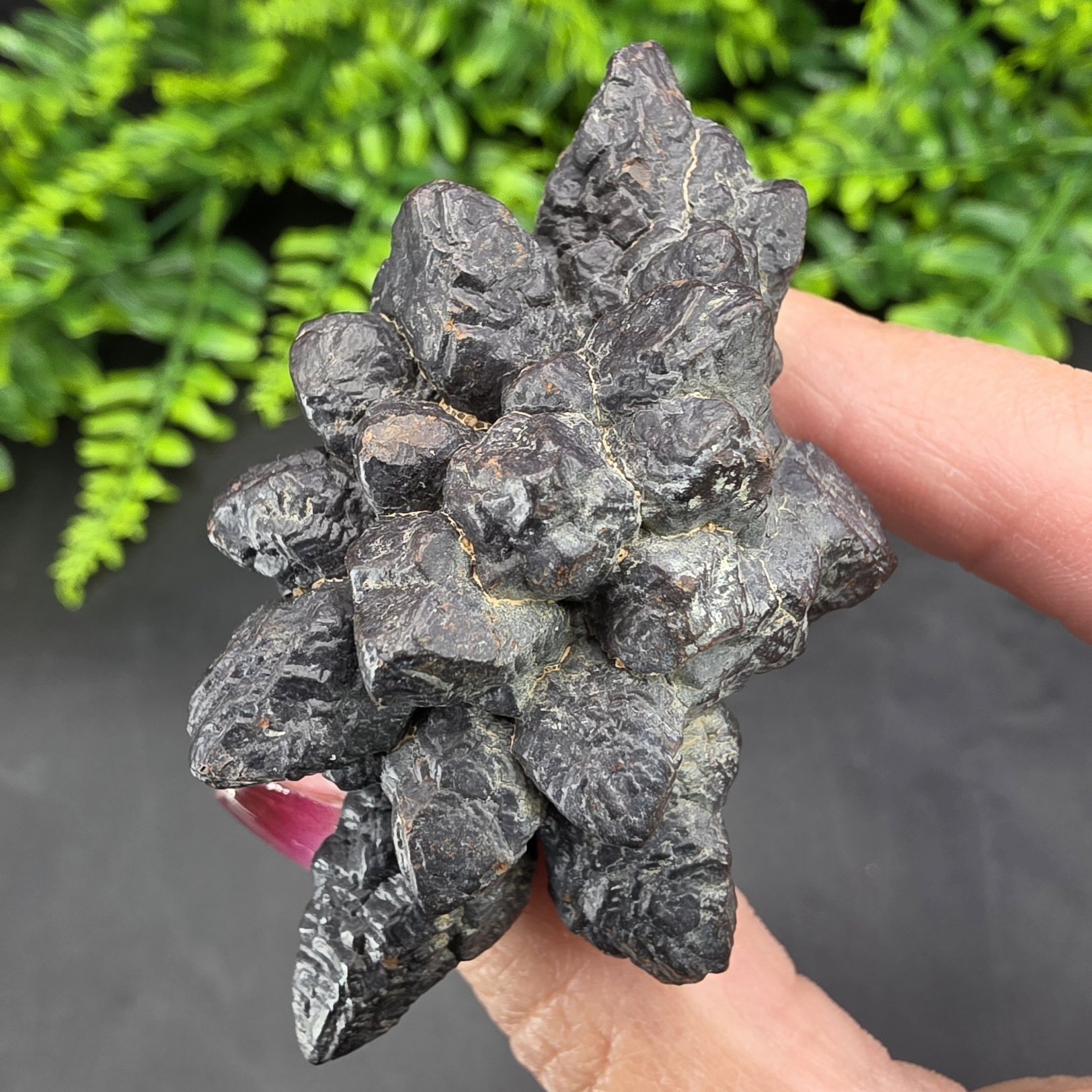 Prophecy Stone | Egypt | FeO(OH)·nH2O | Prophecy Stone Specimen