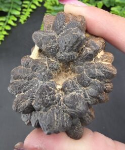 Alternative view of Prophecy Stone | Egypt | FeO(OH)·nH2O | Prophecy Stone Specimen