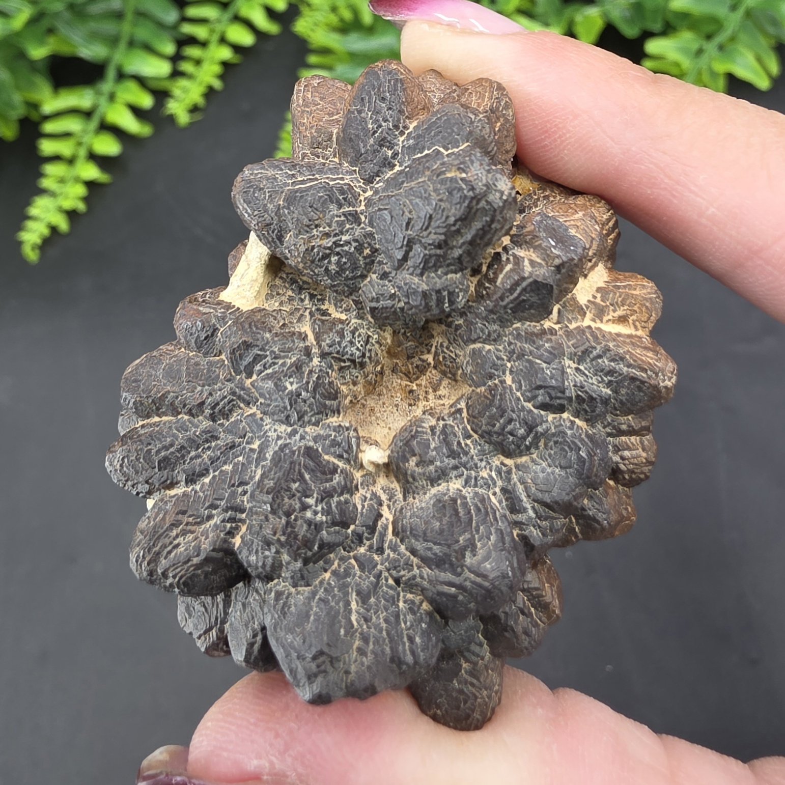 Prophecy Stone | Egypt | FeO(OH)·nH2O | Prophecy Stone Specimen - Image 2
