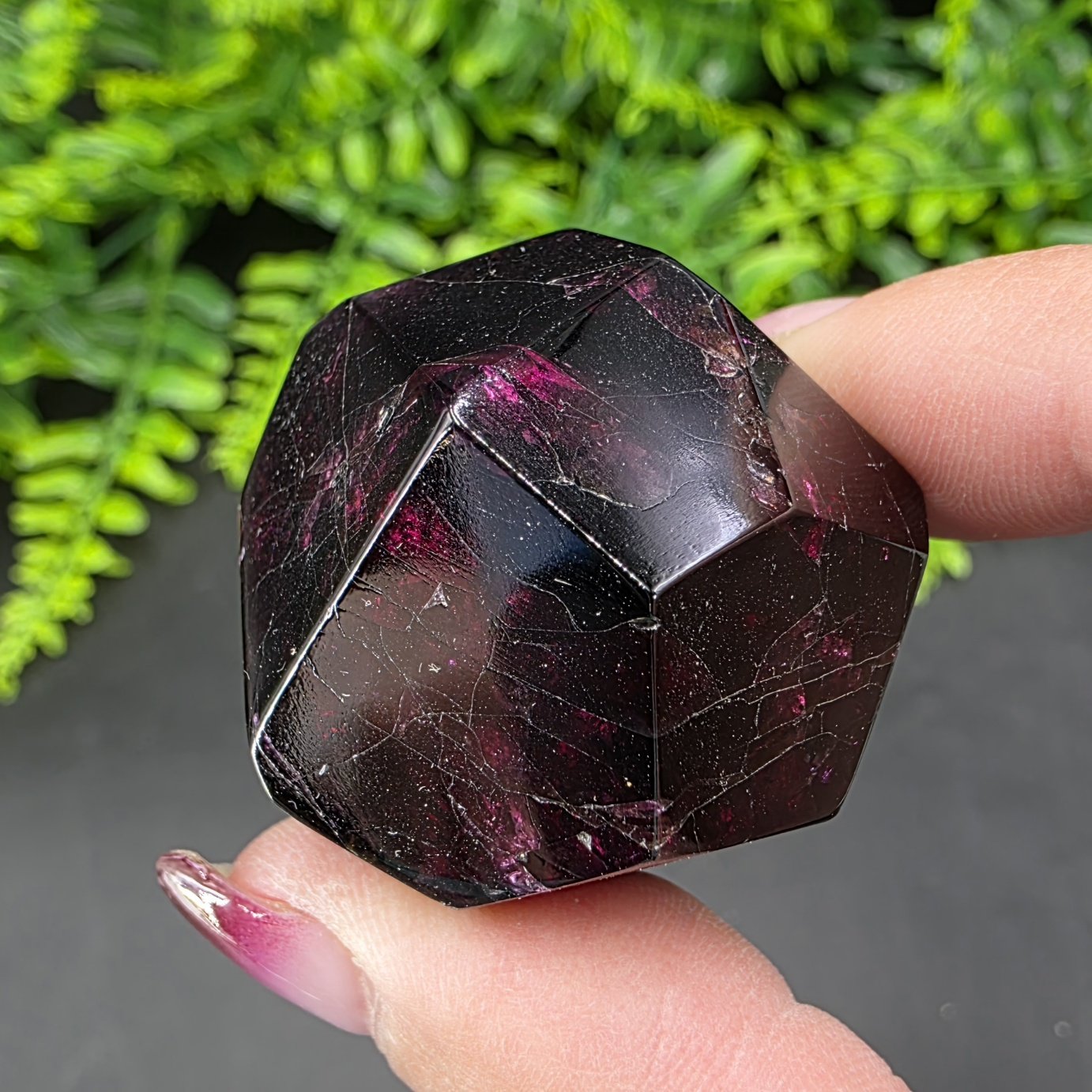 Garnet Freeform | India | Fe3Al2Si3O12 | Polished Garnet