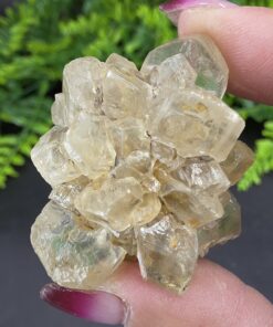 Selenite Bloom | Czech Republic | Na2SeO3 | Selenite Specimen