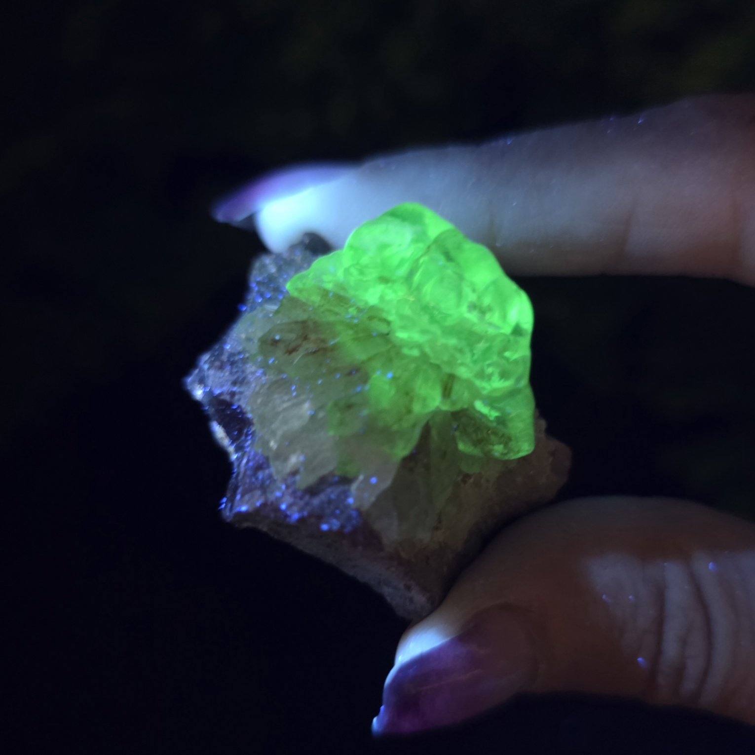 Hyalite Opal | Mexico | SiO2 · nH2O | UV Reactive Hyalite Opal Specimen