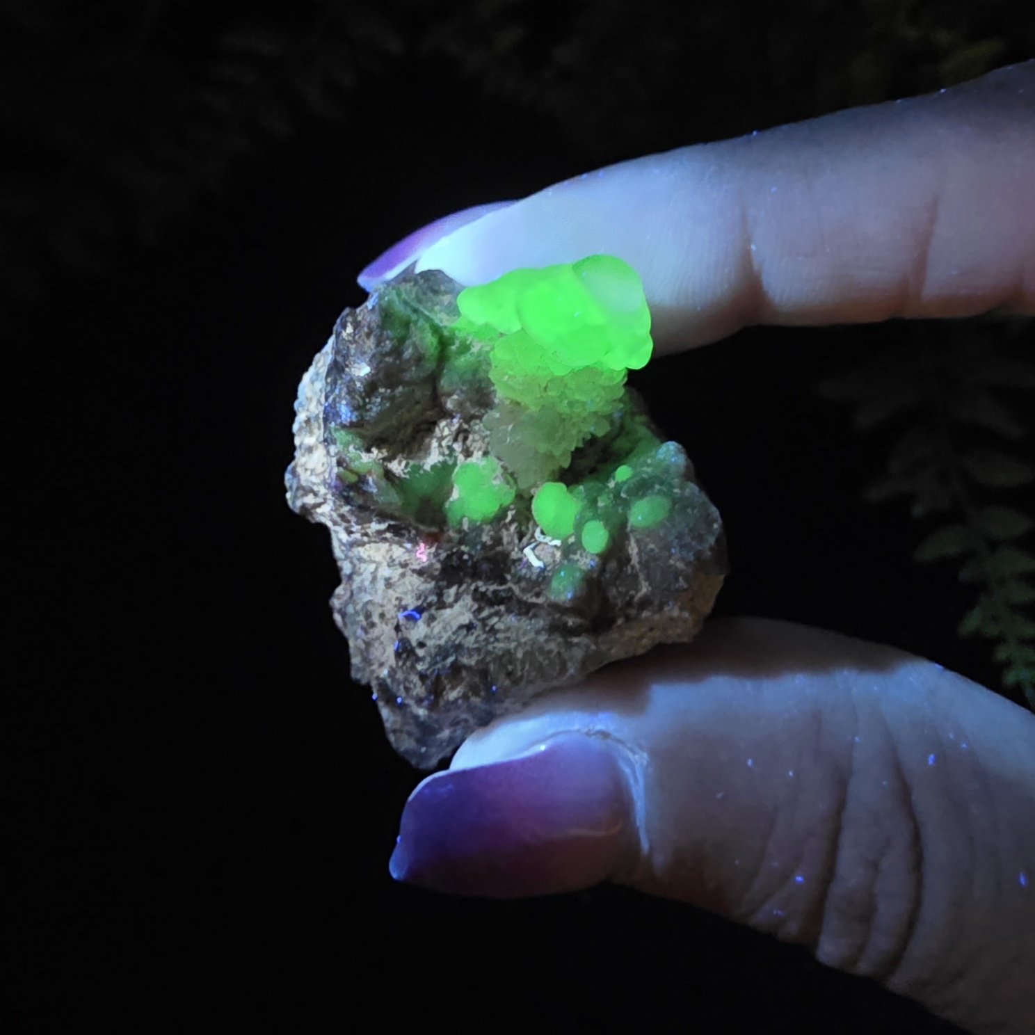 Hyalite Opal | Mexico | SiO2 · nH2O | UV Reactive Hyalite Opal Specimen - Image 5