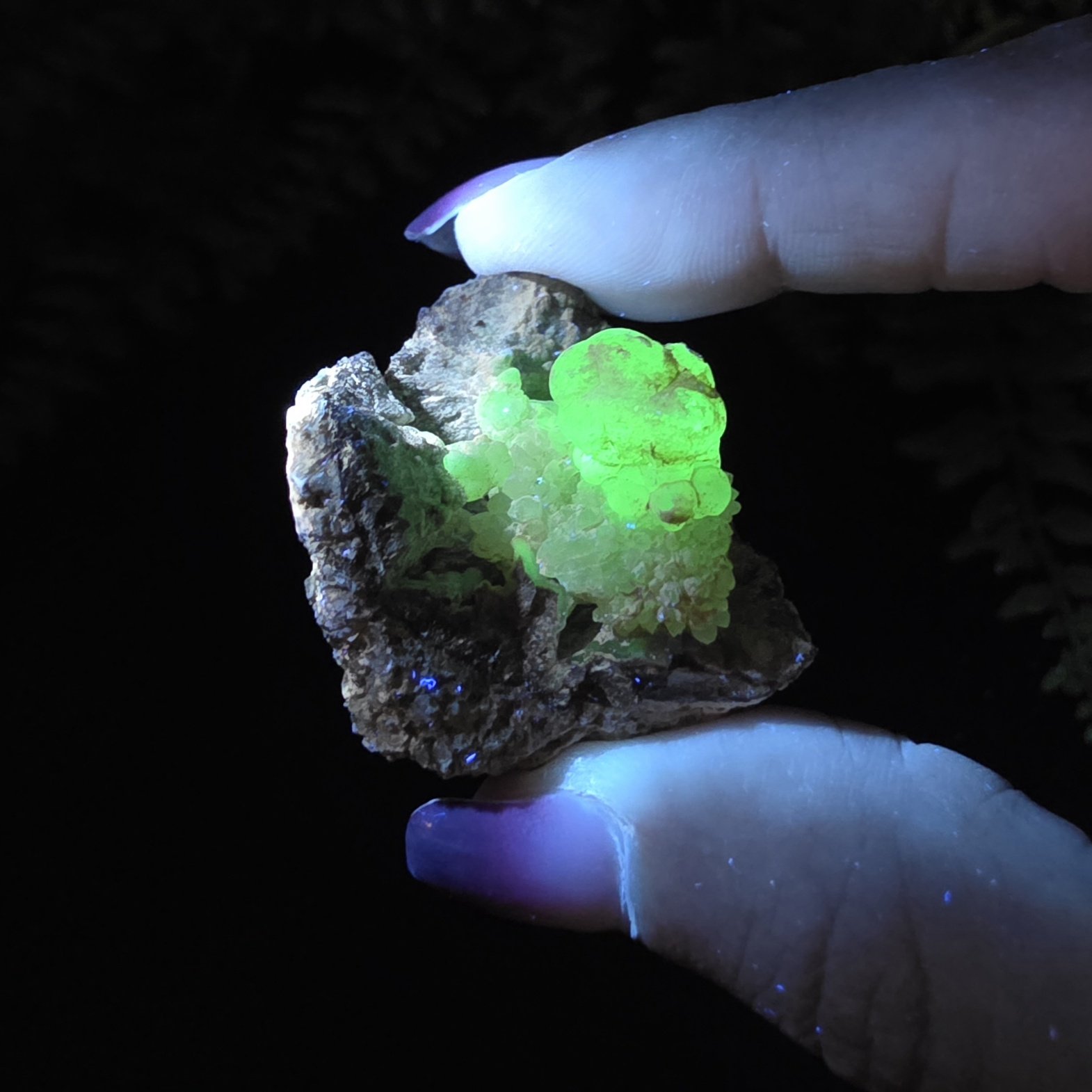 Hyalite Opal | Mexico | SiO2 · nH2O | UV Reactive Hyalite Opal Specimen - Image 3
