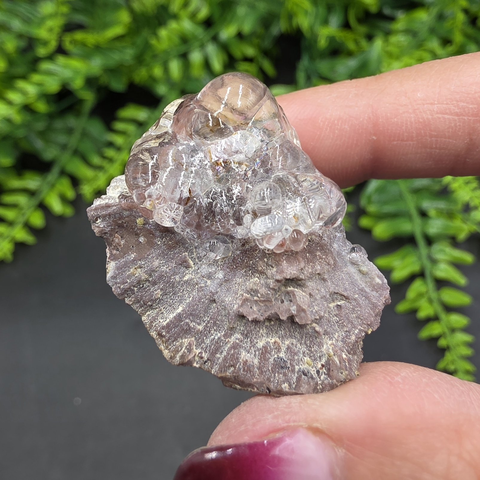 Hyalite Opal | Mexico | SiO2 · nH2O | UV Reactive Hyalite Opal Specimen - Image 8
