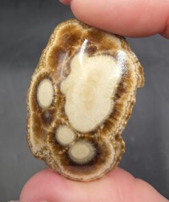Alternative view of Schalenblende Gnome Cap | Poland | BaSO4 | Polished Barite with Marcasite