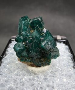 Dioptase Thumbnail | Reneville Mine, Pool Department, Republic of the Congo | CuSiO2(OH)2 | Dioptase Specimen