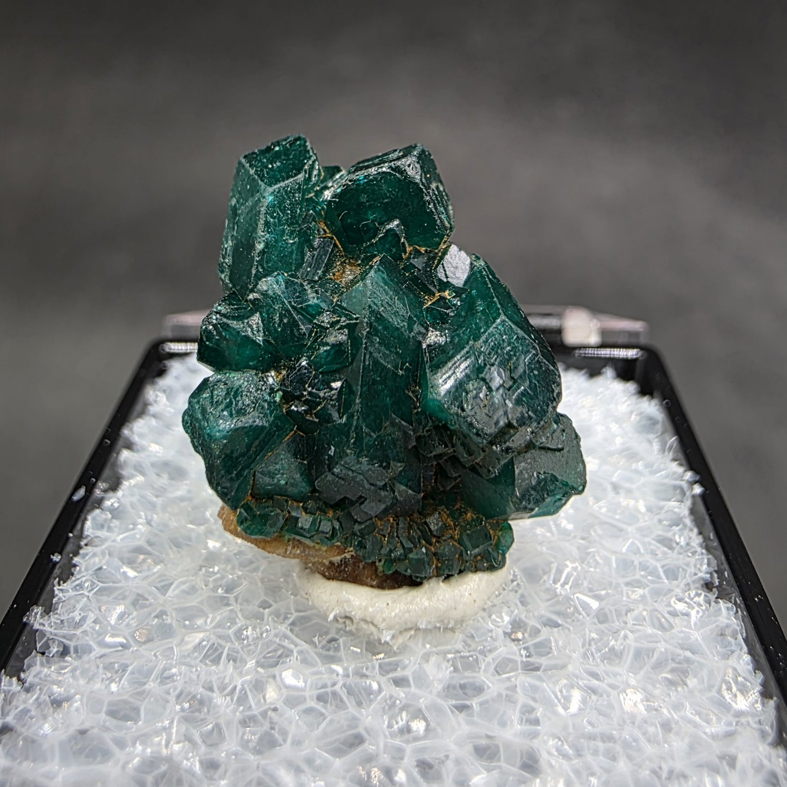 Dioptase Thumbnail | Reneville Mine, Pool Department, Republic of the Congo | CuSiO2(OH)2 | Dioptase Specimen