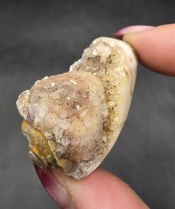 Alternative view of Druzy Fossilized Shell | India | Shell | SiO2 | Shell Fossil