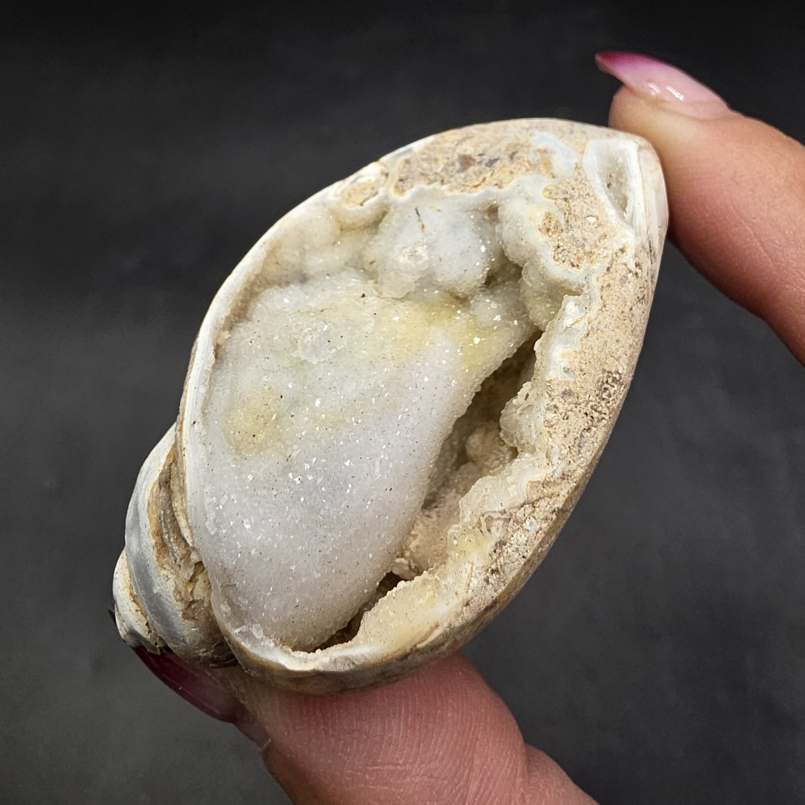 Druzy Fossilized Shell | India | Shell | SiO2 | Shell Fossil - Image 3