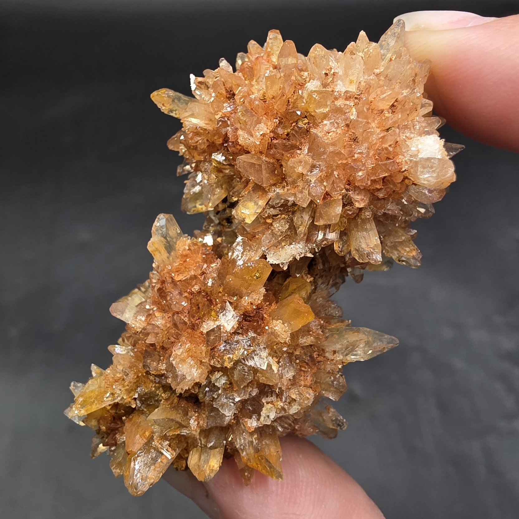 Creedite | Durango, Mexico | CA3Al2SO4(F,OH)10*2(H2O) | Creedite Specimen - Image 5