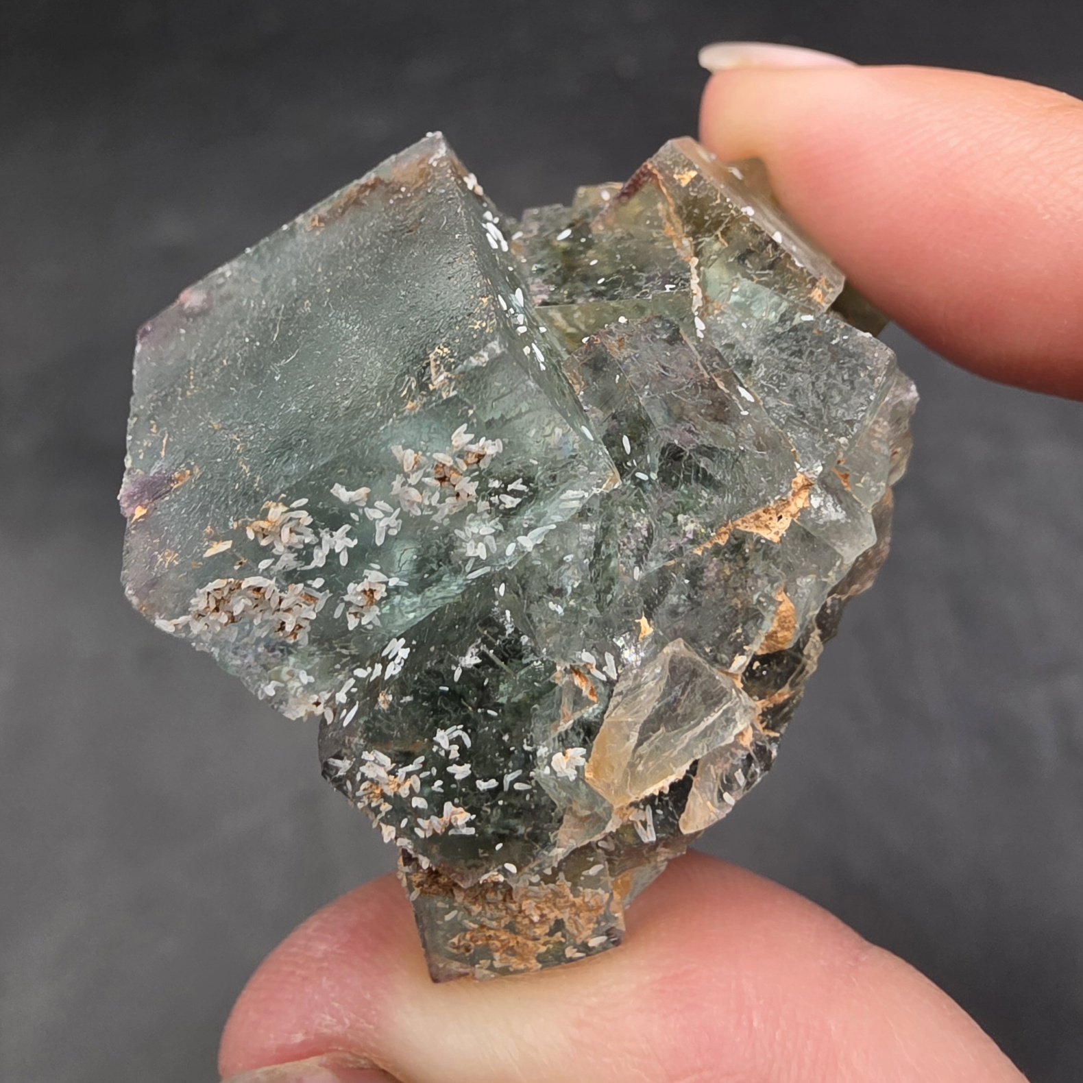 Fluorite | Okorusu, Namibia | CaF2 | Fluorite Specimen - Image 4
