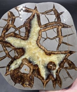 Septarian Slice | Utah | CaCO3 | Polished Septarian