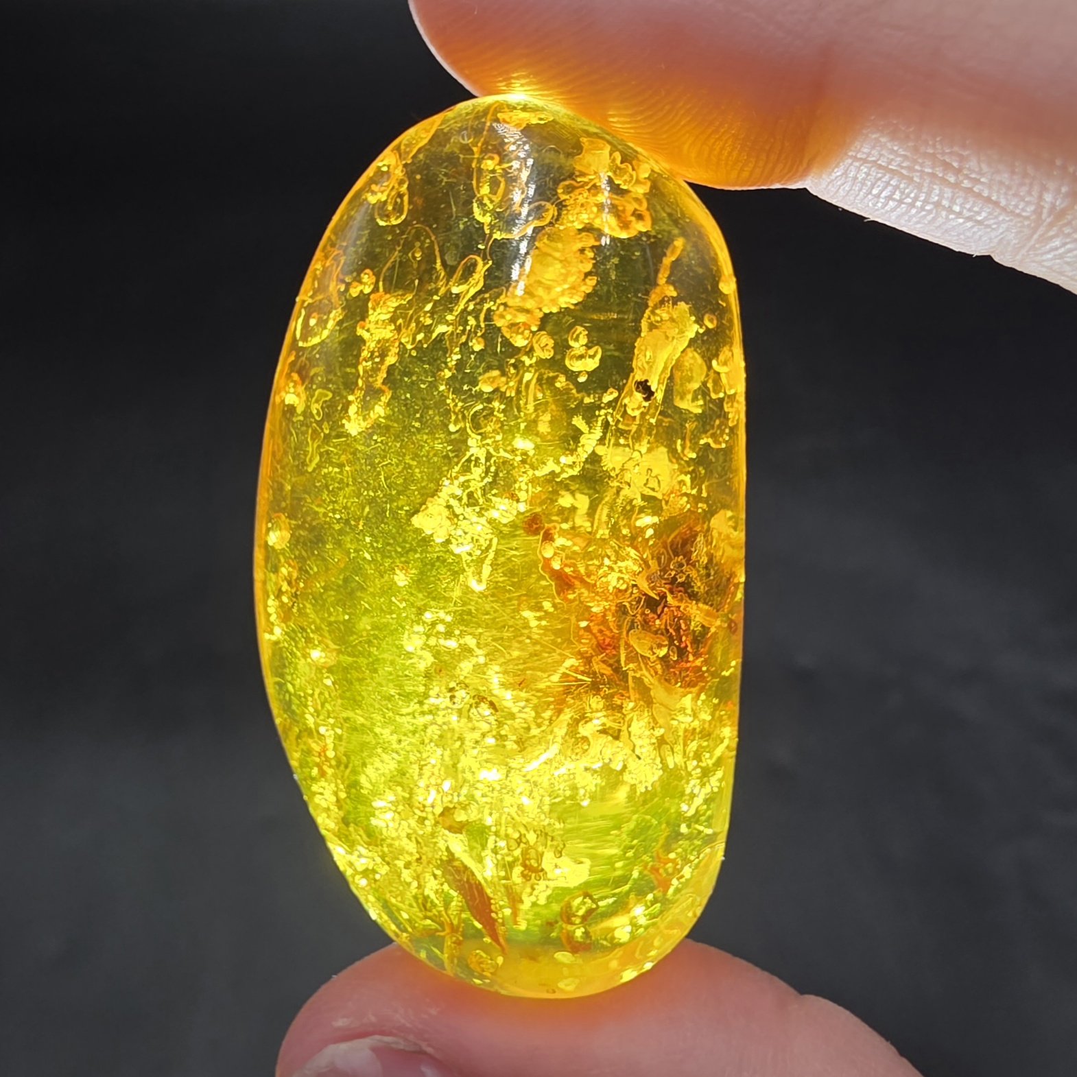 Amber with Insect Inclusions | Colombia | Fossilized Tree Amber | Polished Amber - Image 8